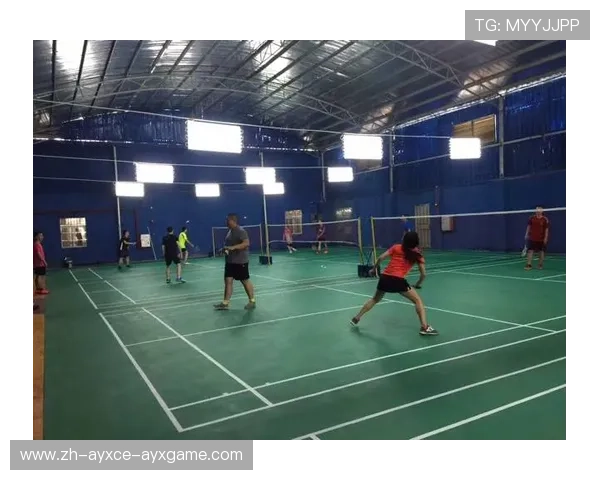 羽毛球空调干扰球