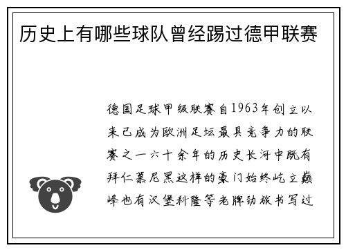 历史上有哪些球队曾经踢过德甲联赛